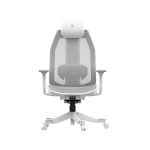 Forma plus - Image 2